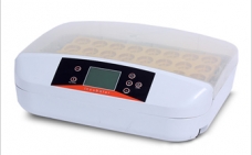 Incubadora automatica 32 huevos bogota colombia