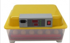 incubadora de huevos 24 huevos bogota colombia