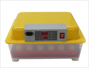 incubadora de huevos 24 huevos bogota colombia